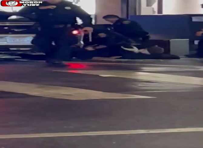Video :Police arrest thieves as they flee a Louis Vuitton store